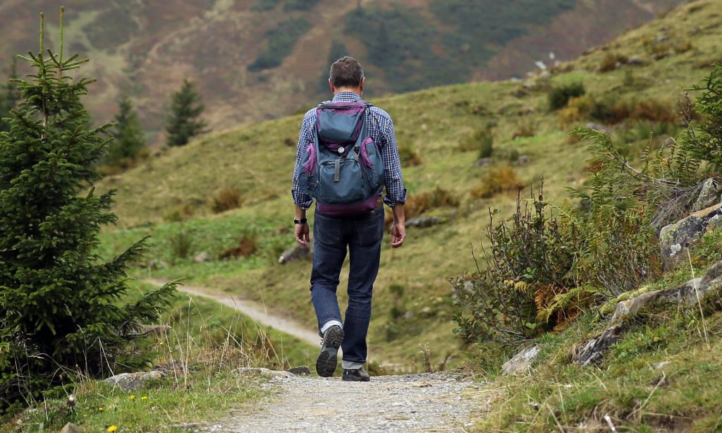 Cursus Wandelletsel